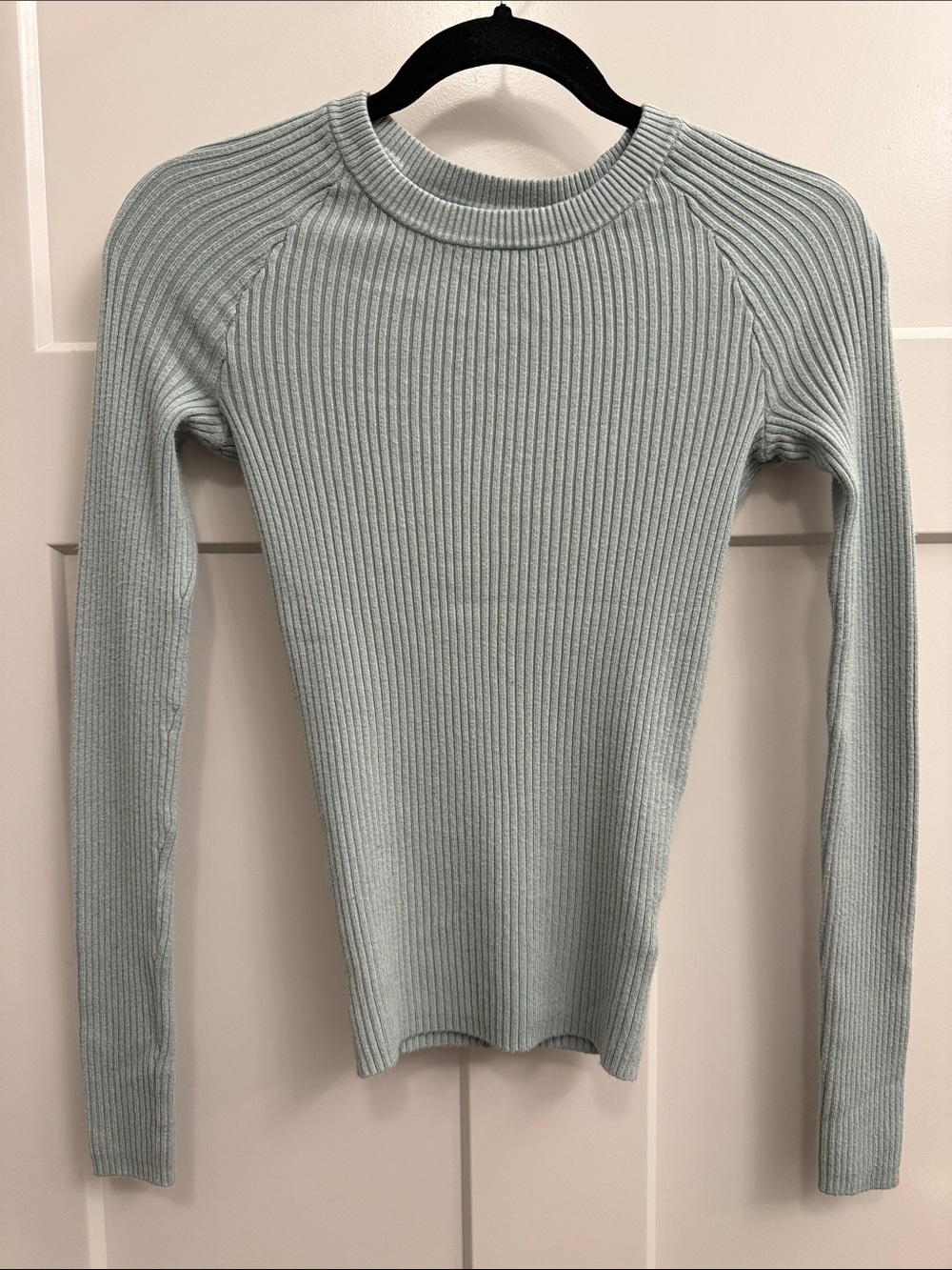 Philosophy Ribbed Crewneck Long-Sleeve Top in Light Mint